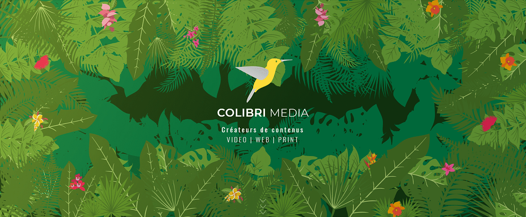 Colibri Media cover